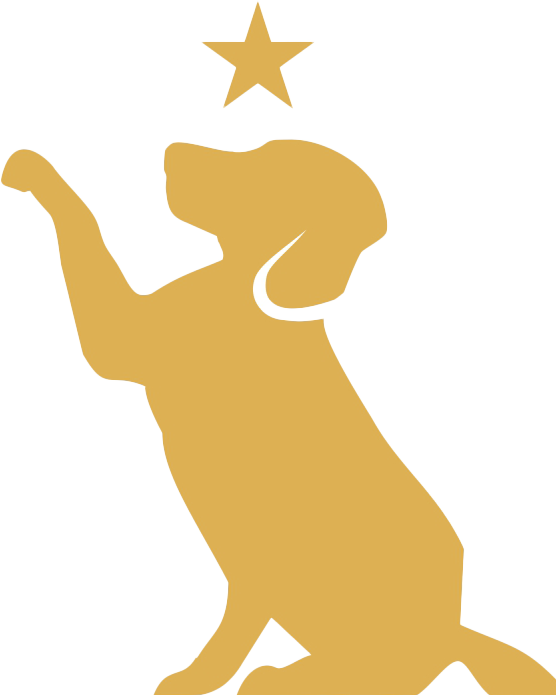 Golden Dog Silhouette With Star 