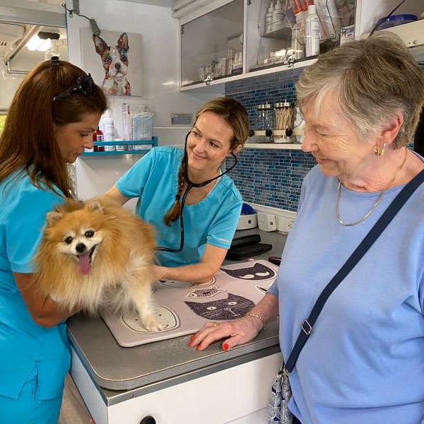 News about Dr. Tara Golden and Golden Paws Veterinary Service in Norfolk, VA