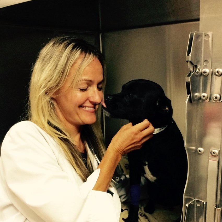 Doctor with puppy Doctor with puppy